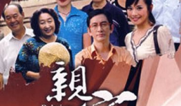 亲家电视剧,家庭纷争与情感纠葛的温情演绎