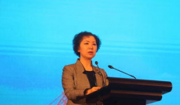 白洁电视剧,青春奋斗路上的励志传奇